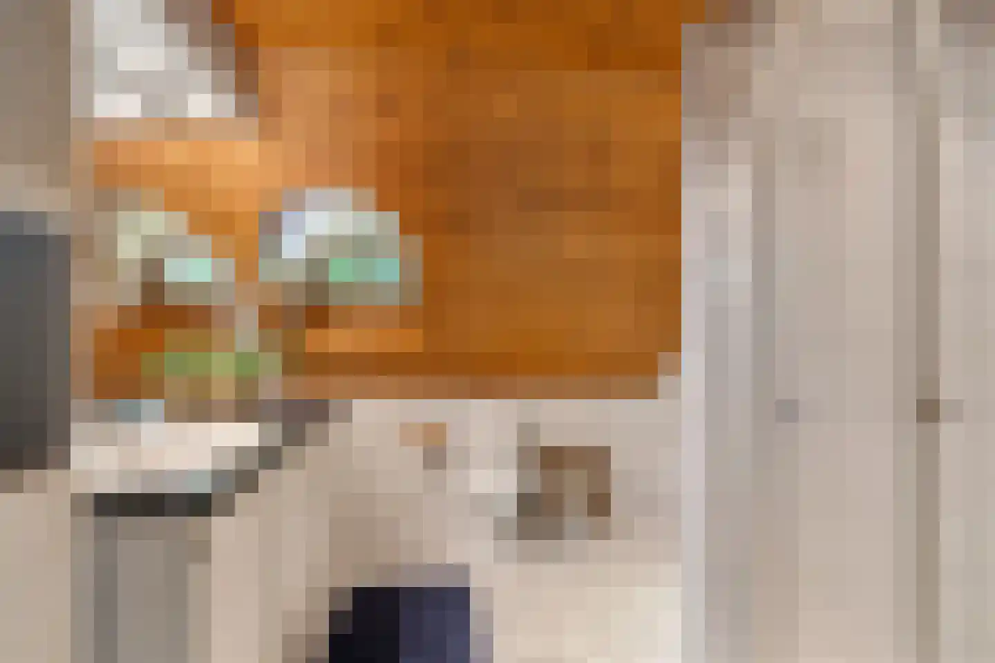 Dr. E. Wassenberghstrjitte 10 Gytsjerk thumbnail 26