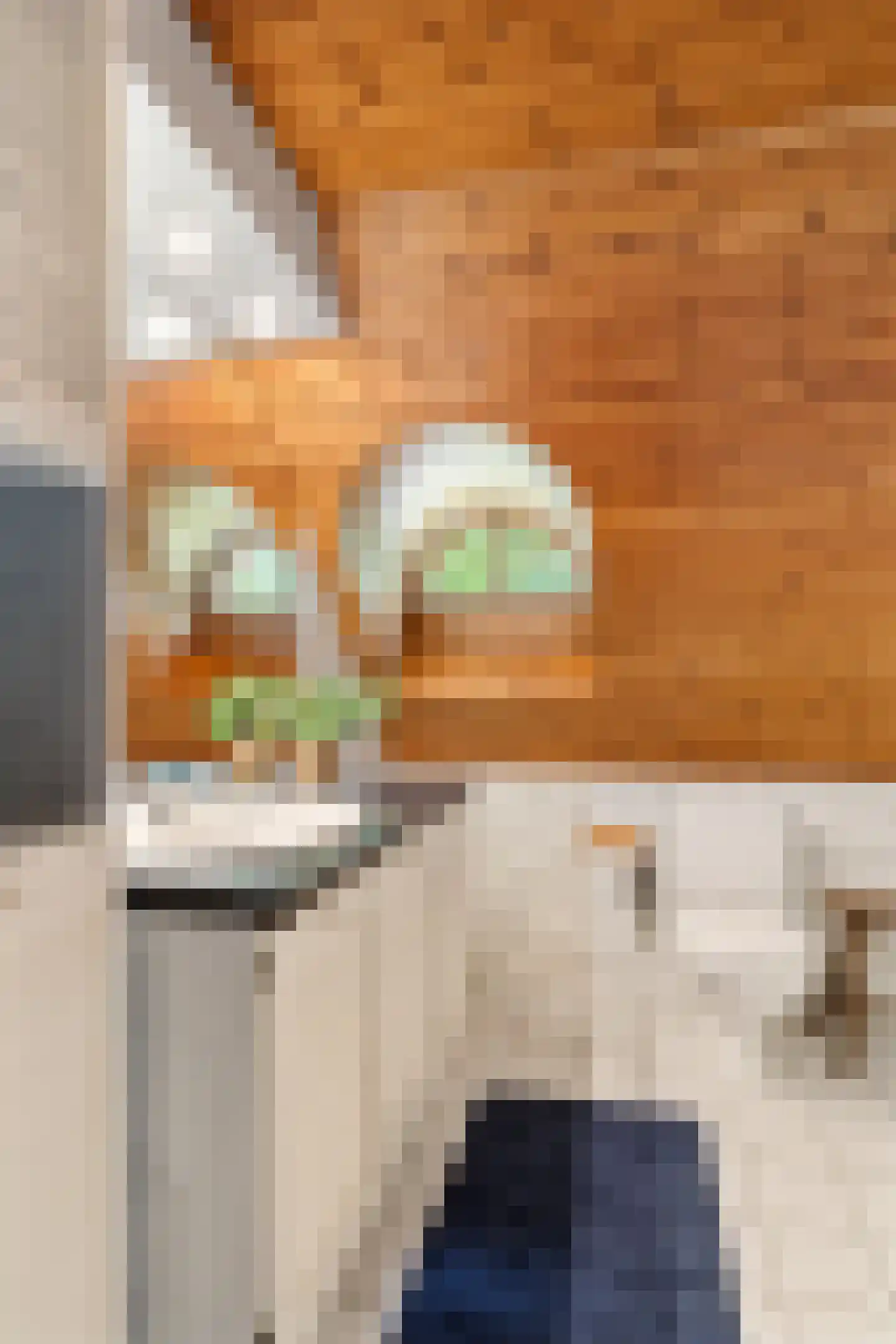 Dr. E. Wassenberghstrjitte 10 Gytsjerk thumbnail 27