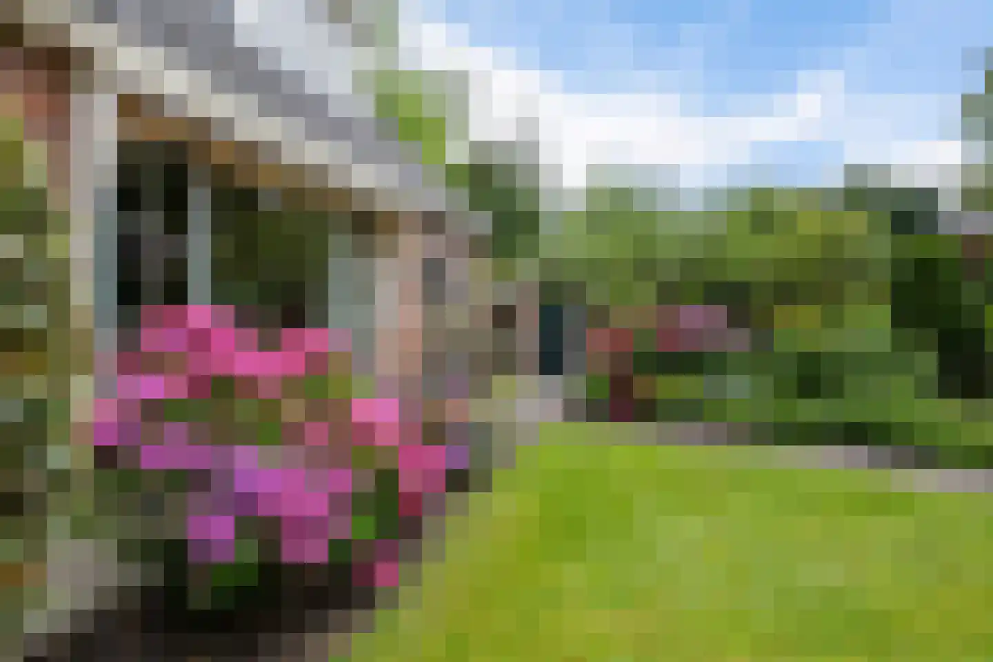 Dr. E. Wassenberghstrjitte 10 Gytsjerk thumbnail 30