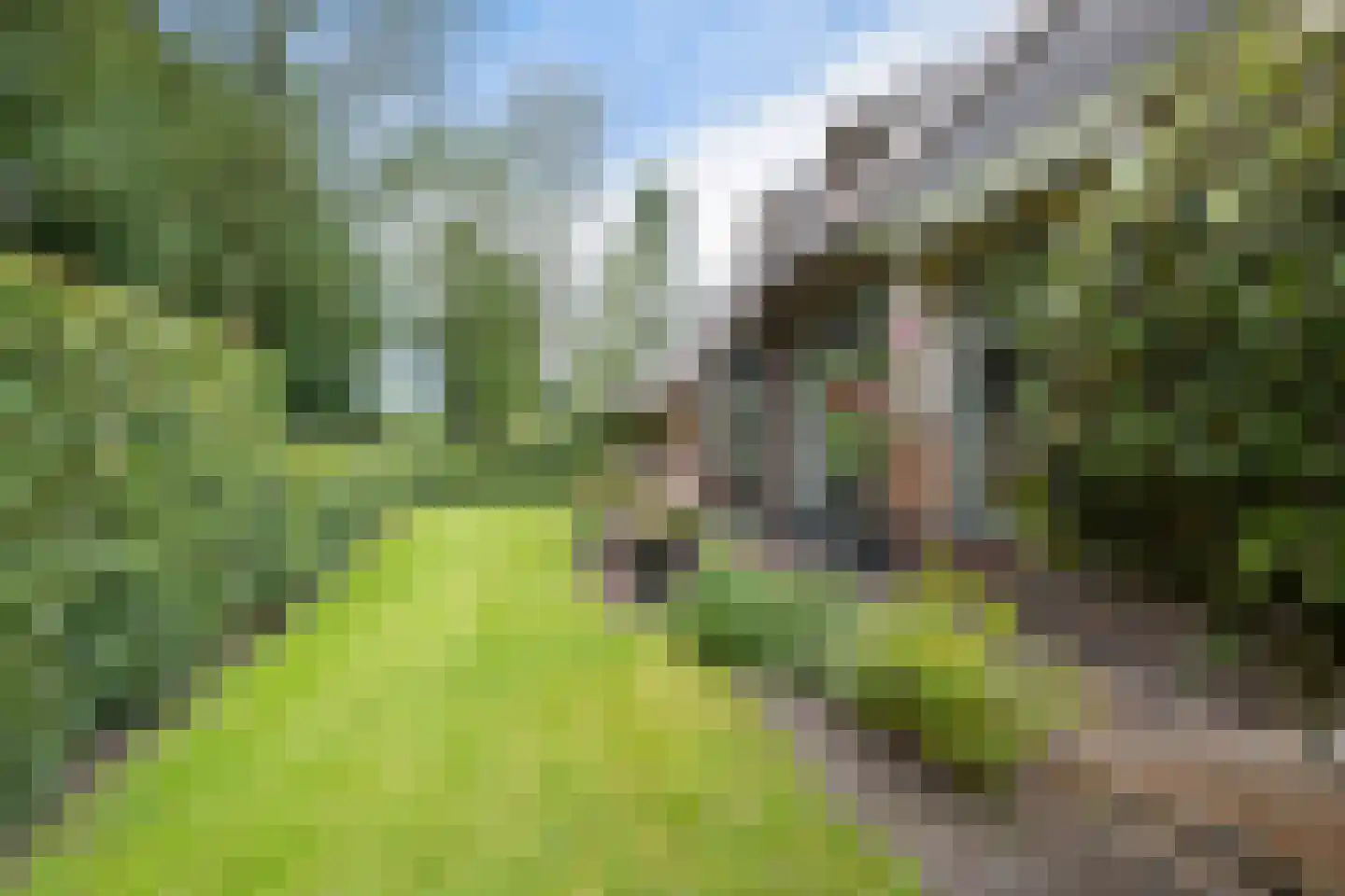 Dr. E. Wassenberghstrjitte 10 Gytsjerk thumbnail 43