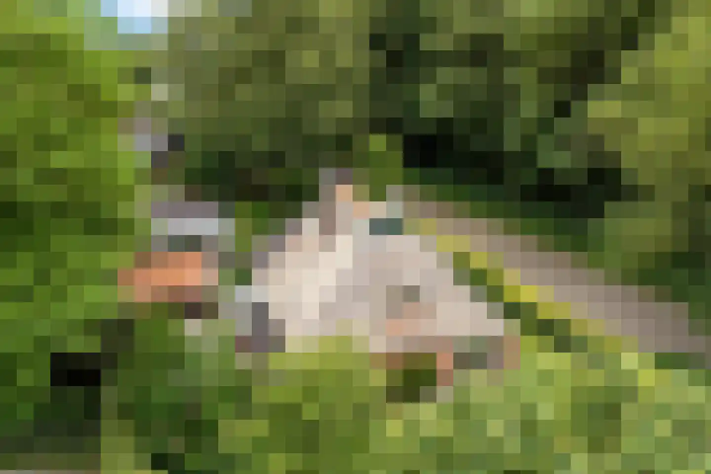 Dr. E. Wassenberghstrjitte 10 Gytsjerk thumbnail 48