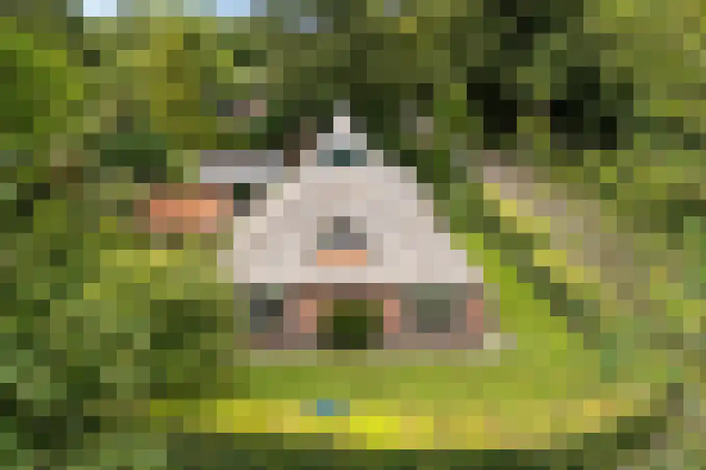 Dr. E. Wassenberghstrjitte 10 Gytsjerk thumbnail 49