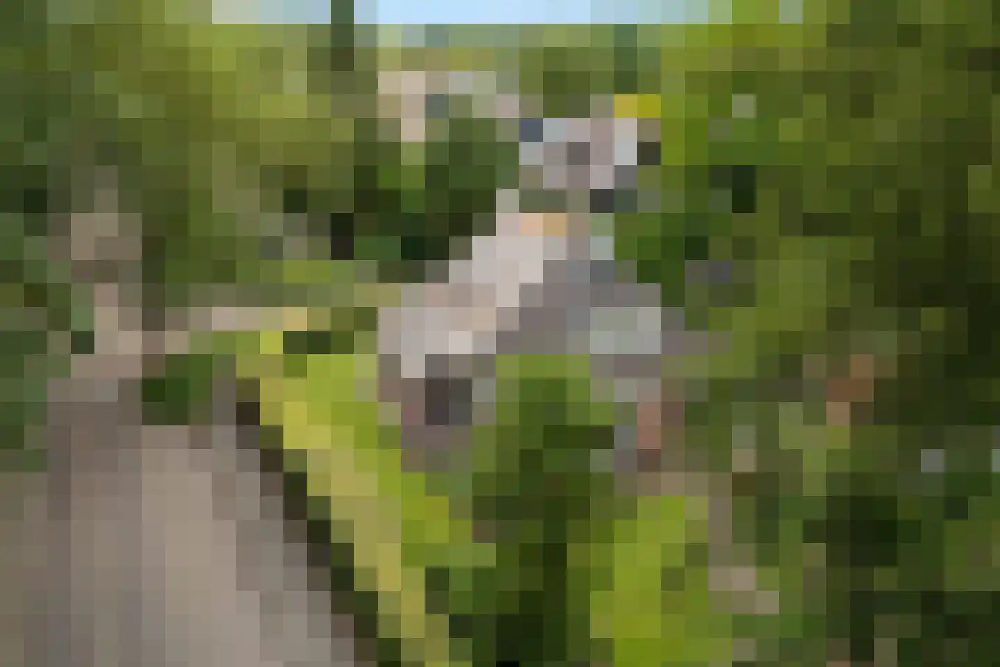 Dr. E. Wassenberghstrjitte 10 Gytsjerk thumbnail 50