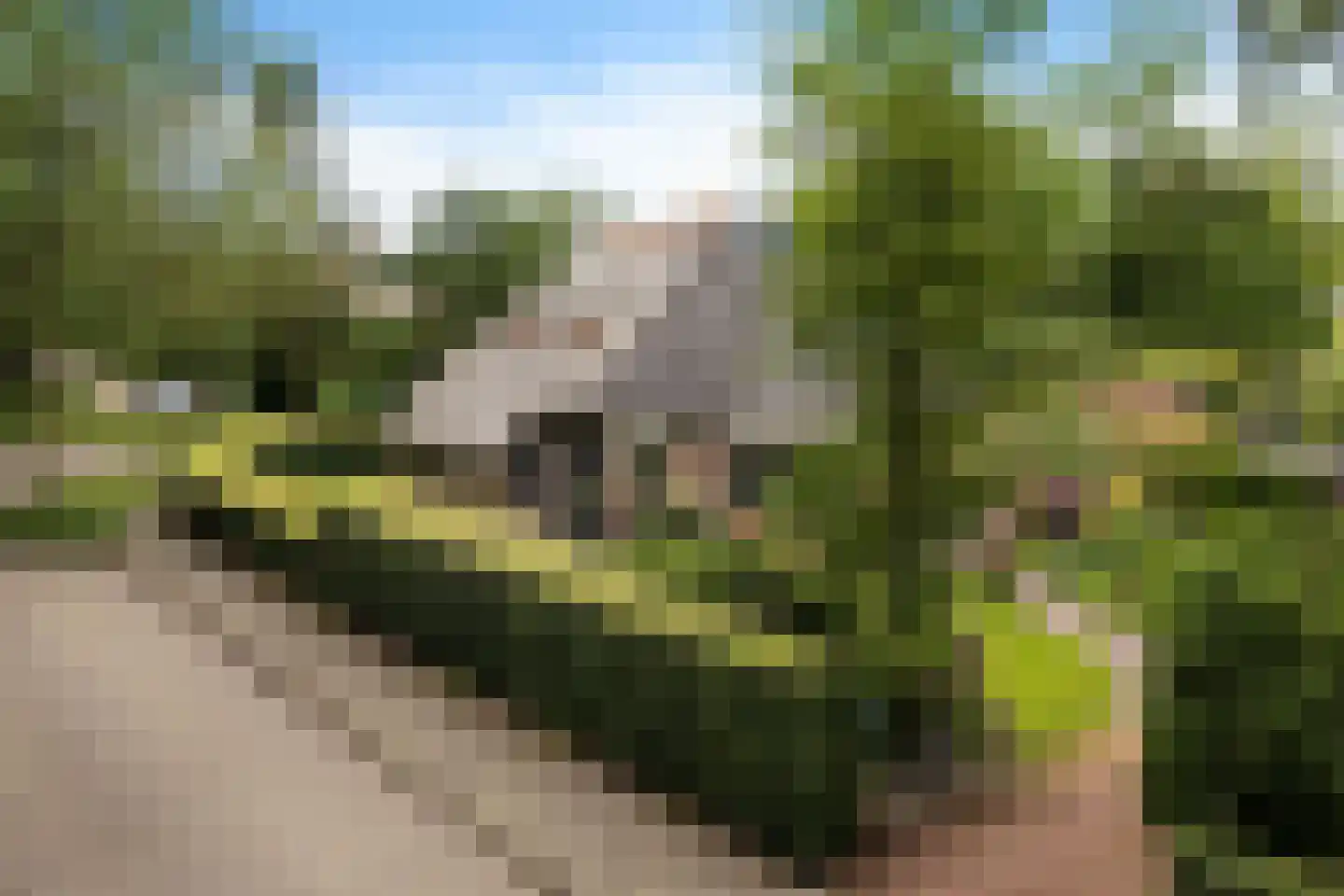 Dr. E. Wassenberghstrjitte 10 Gytsjerk thumbnail 51