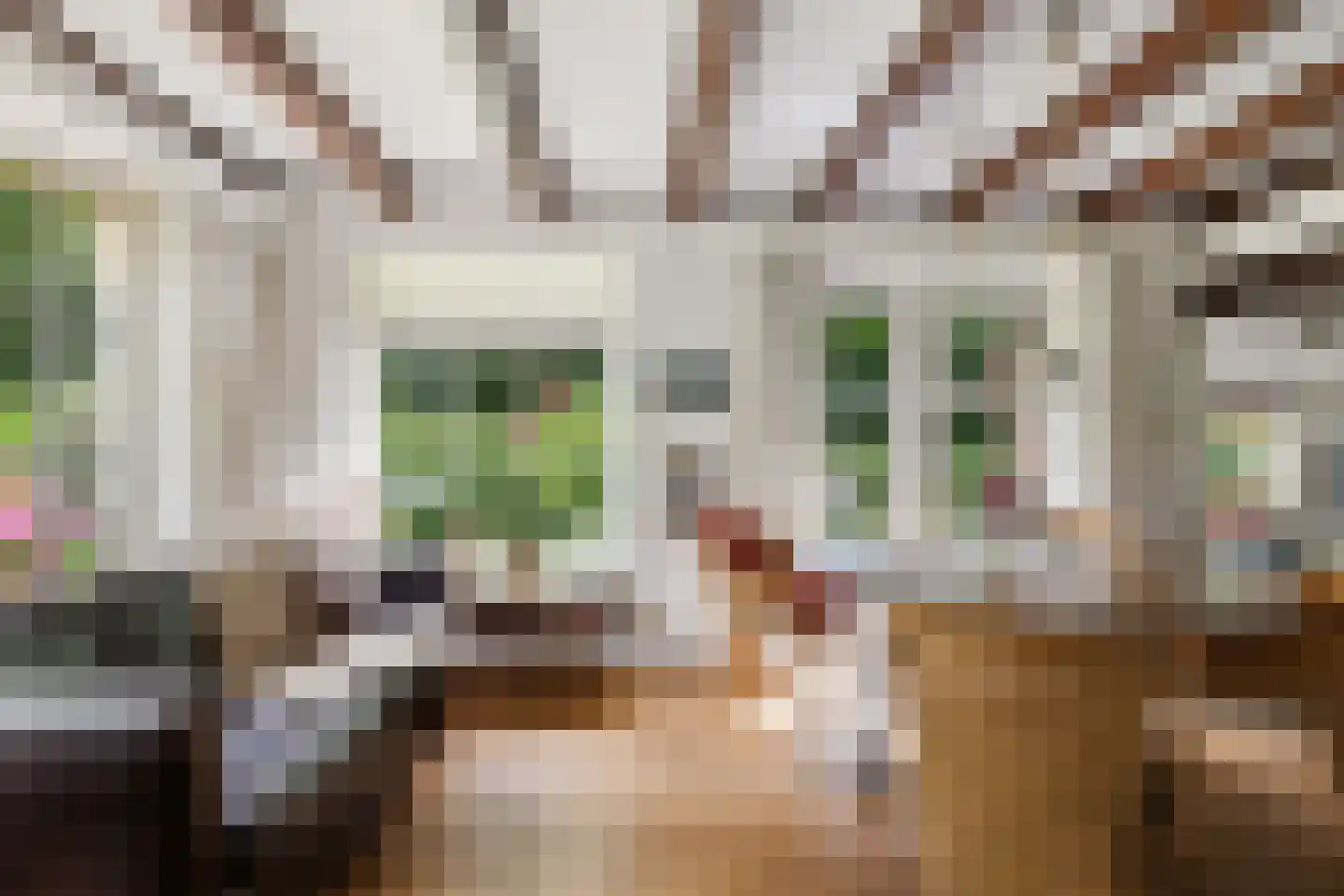 Dr. E. Wassenberghstrjitte 10 Gytsjerk thumbnail 8