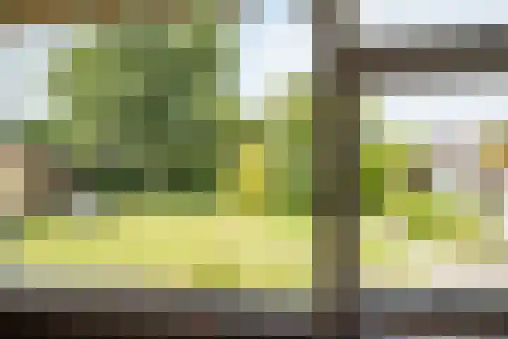 Dr. E. Wassenberghstrjitte 26 Gytsjerk thumbnail 21