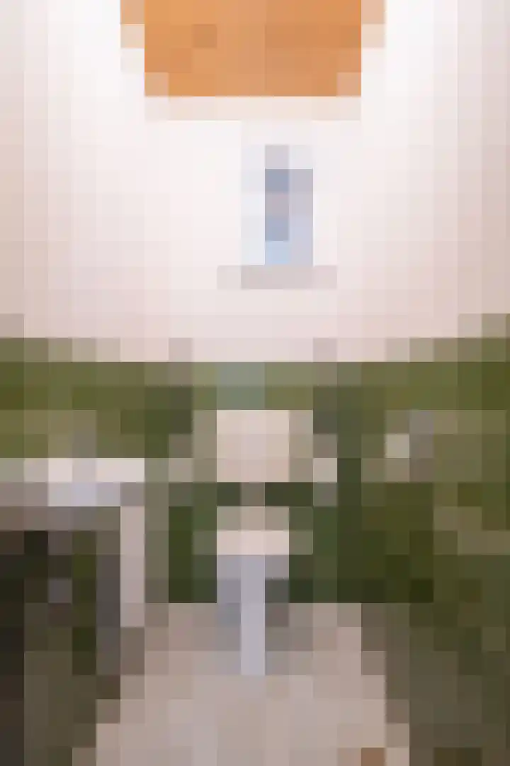 Dr. E. Wassenberghstrjitte 26 Gytsjerk thumbnail 25
