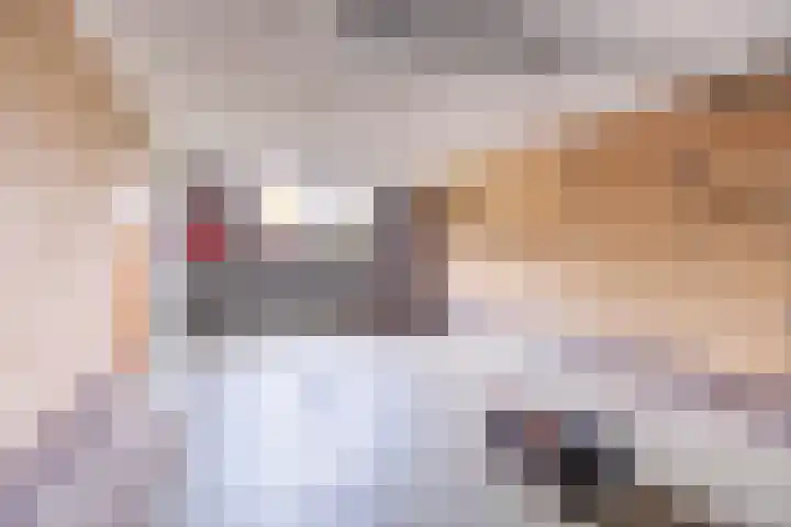 Dr. E. Wassenberghstrjitte 26 Gytsjerk thumbnail 34