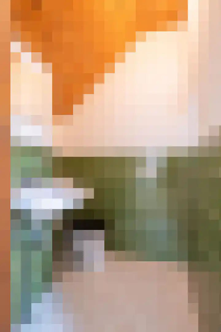 Dr. E. Wassenberghstrjitte 26 Gytsjerk thumbnail 40