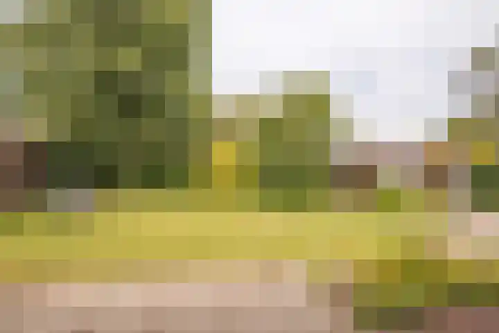 Dr. E. Wassenberghstrjitte 26 Gytsjerk thumbnail 46