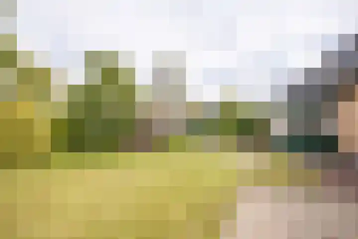 Dr. E. Wassenberghstrjitte 26 Gytsjerk thumbnail 47