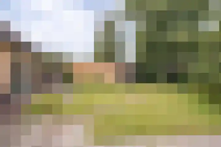 Dr. E. Wassenberghstrjitte 26 Gytsjerk thumbnail 50