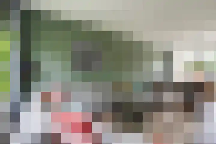 Dr. E. Wassenberghstrjitte 44 Gytsjerk thumbnail 10