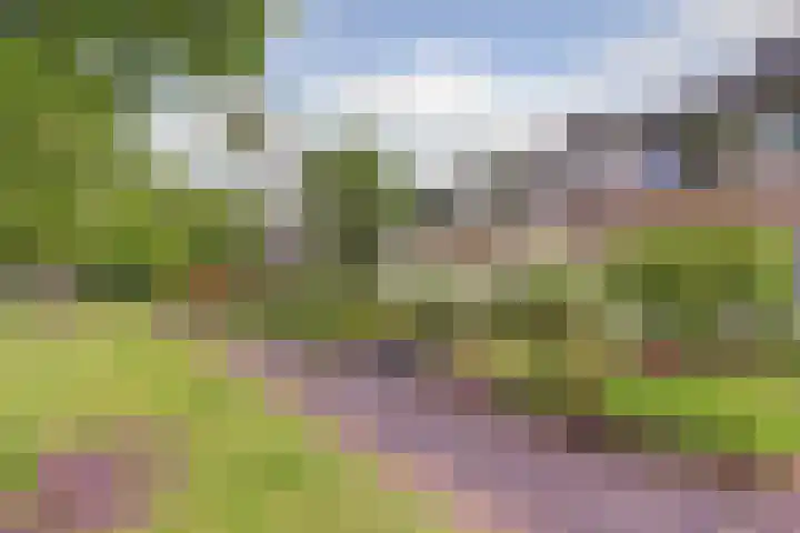Dr. E. Wassenberghstrjitte 44 Gytsjerk thumbnail 32