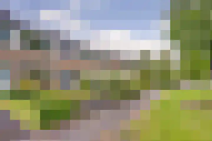 Dr. E. Wassenberghstrjitte 44 Gytsjerk thumbnail 4