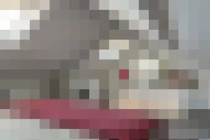 Dr Eeltje Halbertsmastraat 25 Joure thumbnail 22