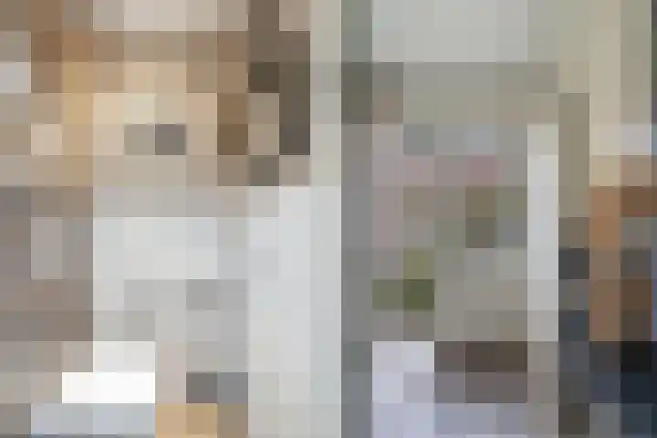 Dr Eeltje Halbertsmastraat 48 Joure thumbnail 7