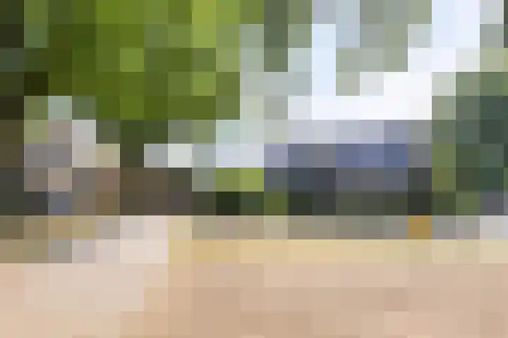 Dr. Eijnattenlaan 16 Someren thumbnail 11