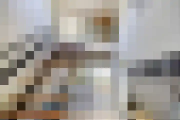 Dr. Eijnattenlaan 16 Someren thumbnail 15