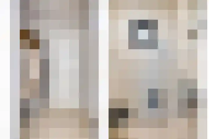 Dr. Eijnattenlaan 16 Someren thumbnail 16