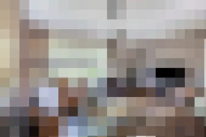 Dr. Eijnattenlaan 16 Someren thumbnail 27