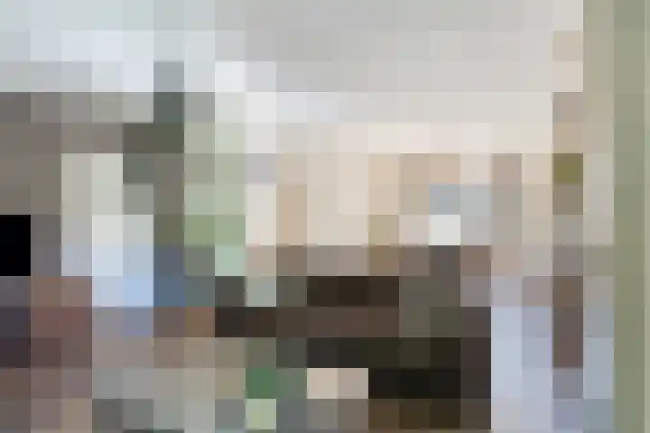 Dr. Eijnattenlaan 16 Someren thumbnail 28