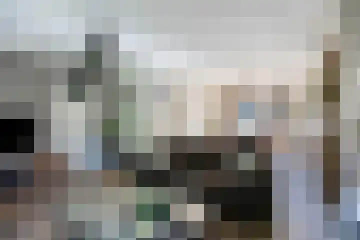 Dr. Eijnattenlaan 16 Someren thumbnail 29