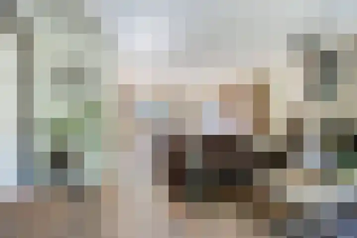 Dr. Eijnattenlaan 16 Someren thumbnail 30