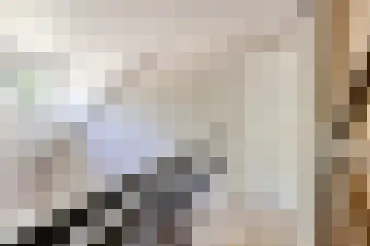 Dr. Eijnattenlaan 16 Someren thumbnail 36