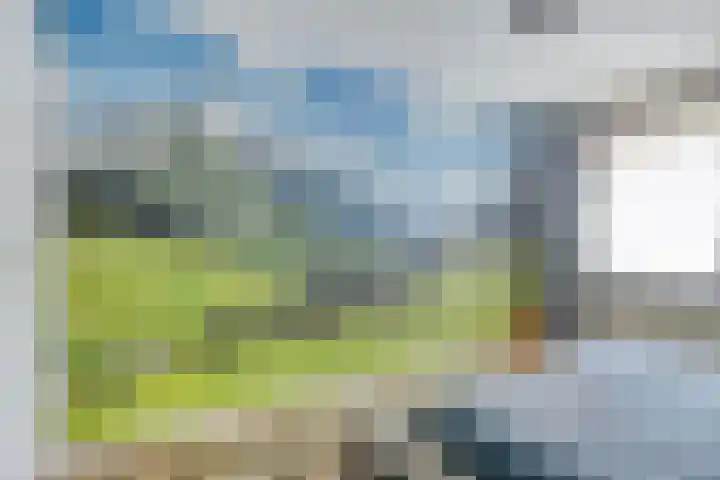 Dr. Eijnattenlaan 16 Someren thumbnail 38
