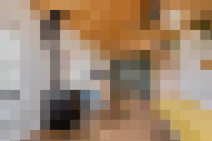 Dr. Eijnattenlaan 16 Someren thumbnail 39