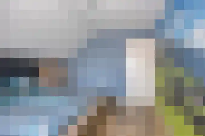 Dr. Eijnattenlaan 16 Someren thumbnail 39