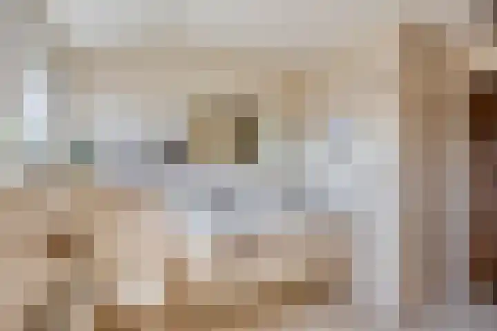 Dr. Eijnattenlaan 16 Someren thumbnail 5