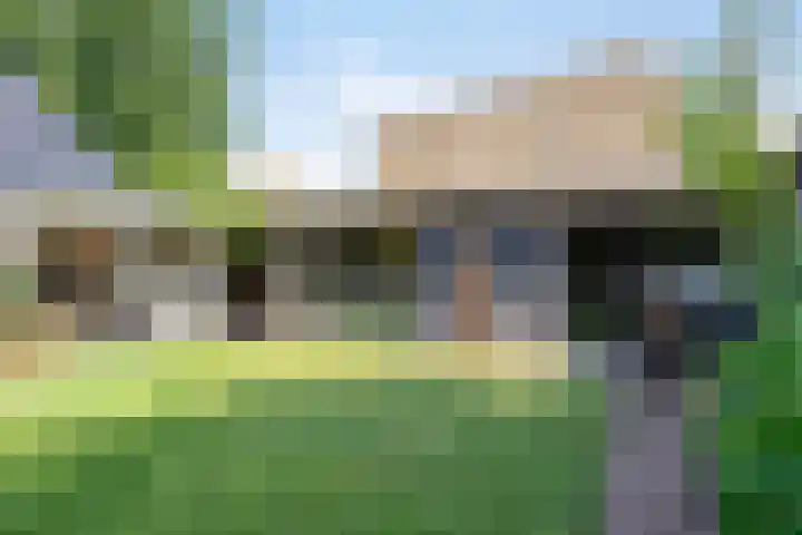 Dr. Eijnattenlaan 16 Someren thumbnail 51