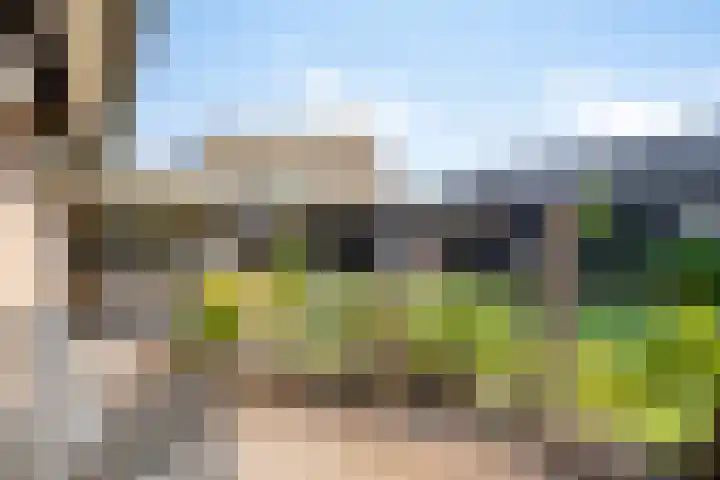 Dr. Eijnattenlaan 16 Someren thumbnail 52