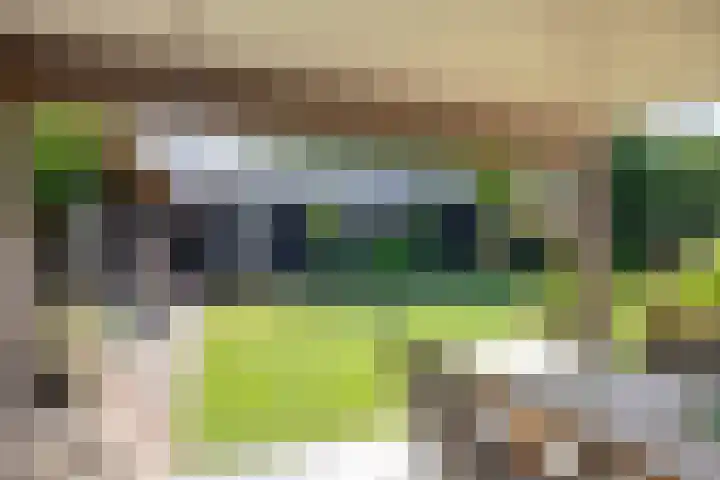 Dr. Eijnattenlaan 16 Someren thumbnail 6
