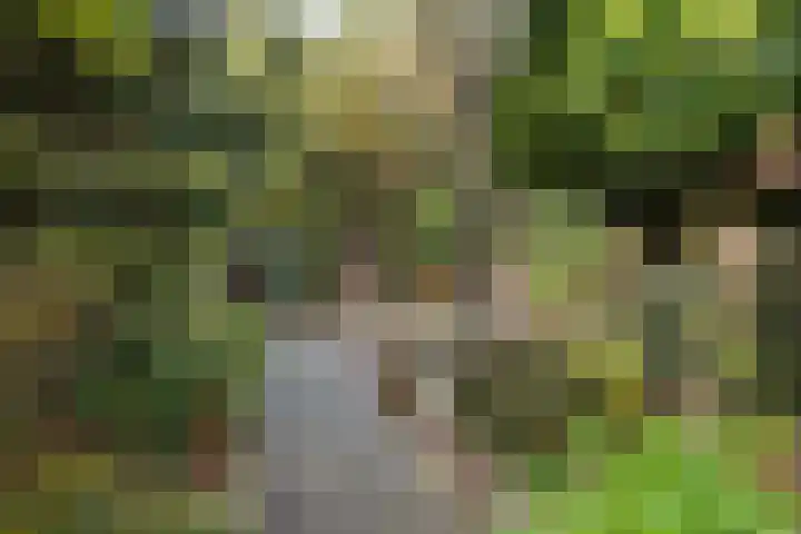 Dr. Eijnattenlaan 16 Someren thumbnail 61