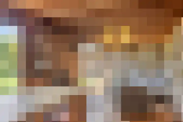 Dr. Eijnattenlaan 16 Someren thumbnail 61