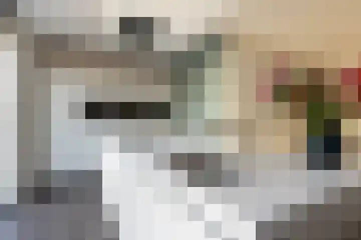 Dr. Eijnattenlaan 16 Someren thumbnail 63