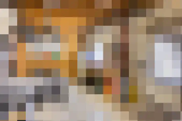 Dr. Eijnattenlaan 16 Someren thumbnail 65