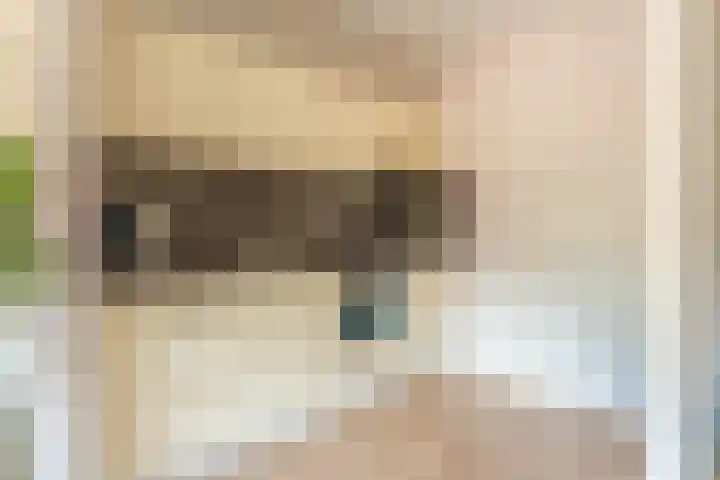 Dr. Eijnattenlaan 16 Someren thumbnail 67