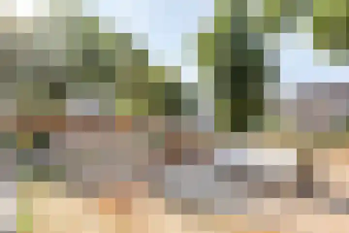 Dr. Eijnattenlaan 16 Someren thumbnail 70