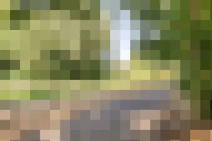 Dr. Eijnattenlaan 16 Someren thumbnail 71