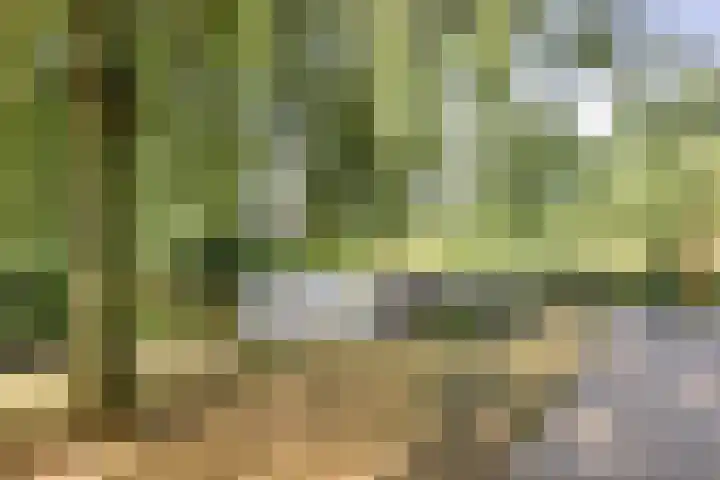 Dr. Eijnattenlaan 16 Someren thumbnail 72