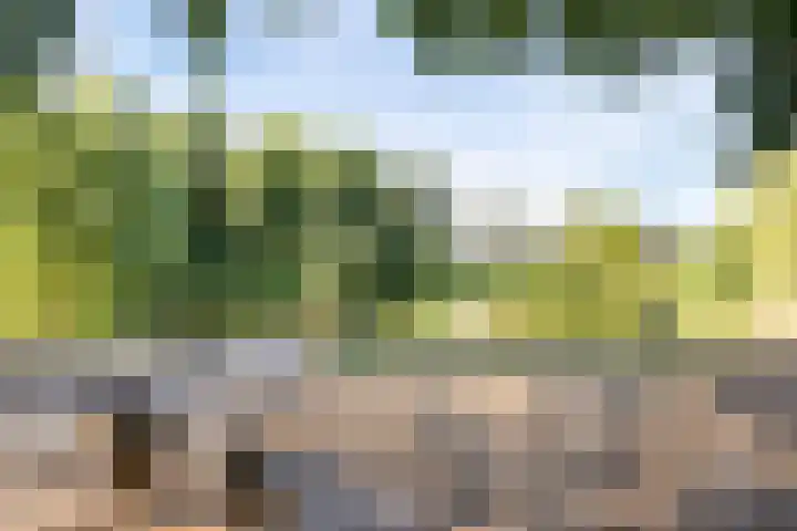 Dr. Eijnattenlaan 16 Someren thumbnail 73