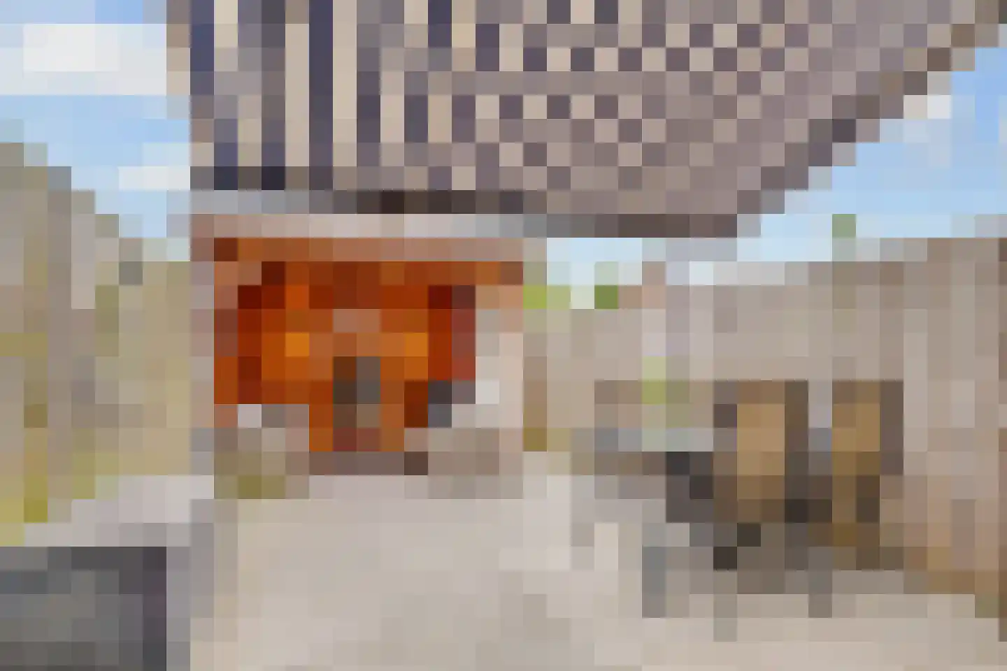 Dr. Engelhardlaan 16 Den Dolder thumbnail 23