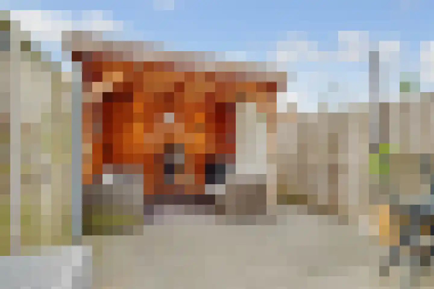 Dr. Engelhardlaan 16 Den Dolder thumbnail 24