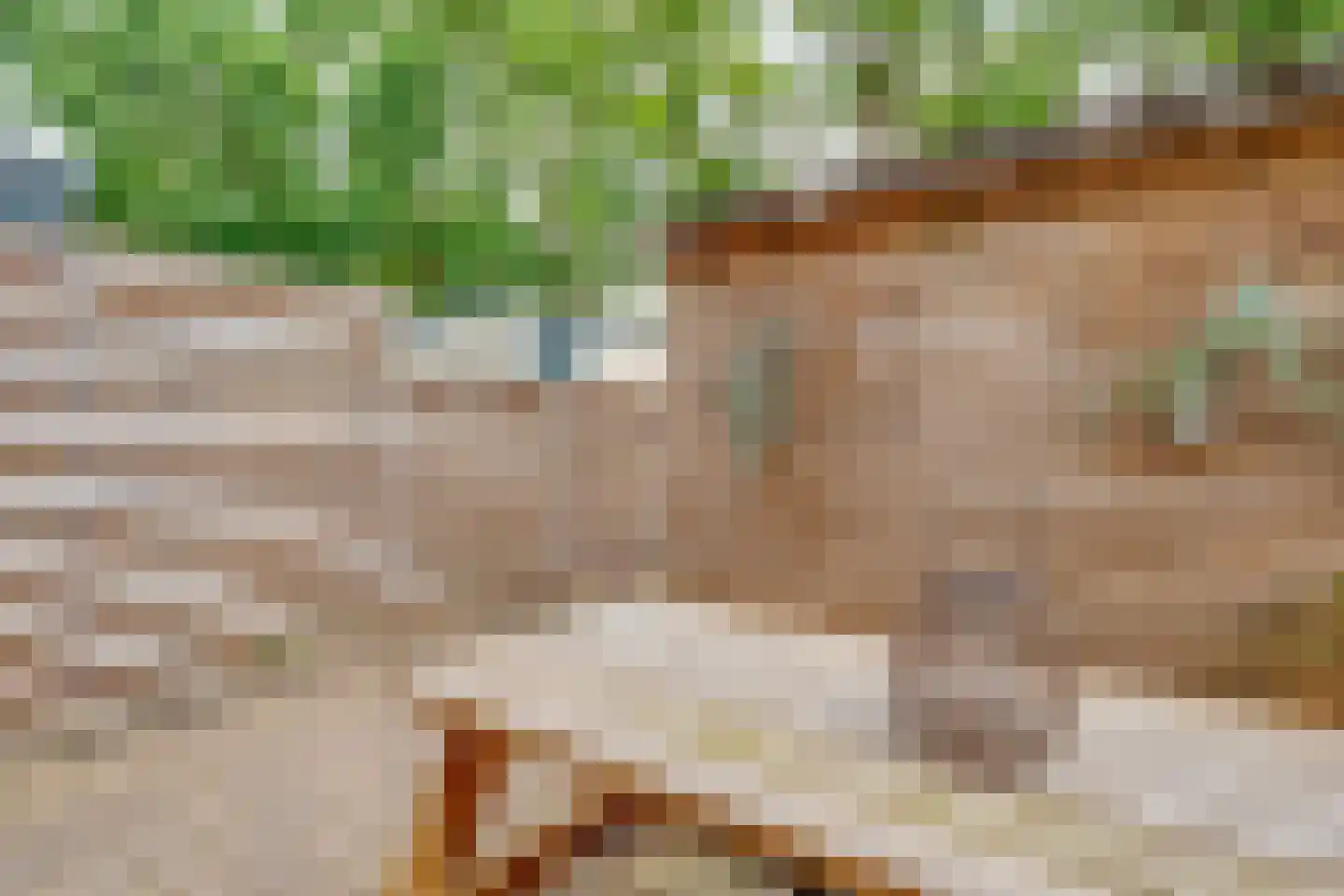 Dr. Engelhardlaan 16 Den Dolder thumbnail 28