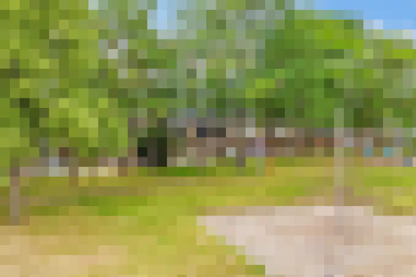 Dr. Engelhardlaan 16 Den Dolder thumbnail 31