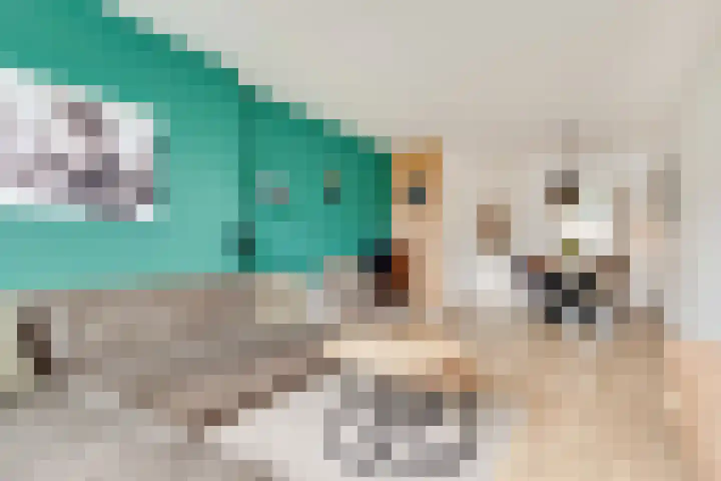 Dr. Engelhardlaan 16 Den Dolder thumbnail 8